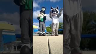 National Mascot Video | Elmhurst Park District, Elmhurst University and York High School