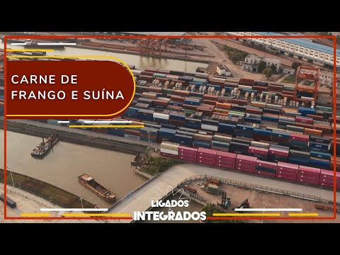 SC supera 1 bilhão de receitas com exportação de carnes em 2023 | Ligados&Integrados - 30/05/2023