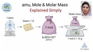 Atomic Mass Unit (amu), Avogadro’s Number & Molar Mass Explained Simply| Effortless Chemistry