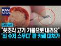 스무디 바닥에 쇳조각 '우수수' "삼겹살 먹고 기름으로 내려보내라"? / KNN