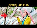 10 Самых Необычных Загадок Природы