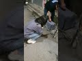 2년이상 돌봐주며 사랑을주던 아이를 중성화동물병원에 데려가는모습을 보시더니 서운해서 우시네요. 수술잘하고 토요일저녁에 데려올테니 걱정마시라고 했습니다.