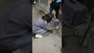 2년이상 돌봐주며 사랑을주던 아이를 중성화동물병원에 데려가는모습을 보시더니 서운해서 우시네요.  수술잘하고 토요일저녁에 데려올테니 걱정마시라고 했습니다.