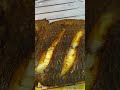 আজব মেশিন রেস্টুরেন্টের স্বাদ এখন ঘরেই। Sencor Multifunction Halogen Oven