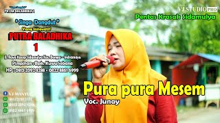 PURA PURA MESEM VOC.JUNAY - SINGA DANGDUT YANG  INNOVATIF PUTRA BALADHIKA 1 LIVE KRASAK 11-06-2022