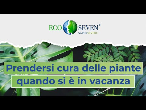 Video: Prendersi cura delle piante d'appartamento quando si è in vacanza