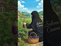 Fresh Garden Brinjal Curry & Soft Roti 🍆🌿 | Village Cooking| SukoonCanvas#ytshorts#viral #shortsfeed