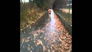IMG_0105.MOV