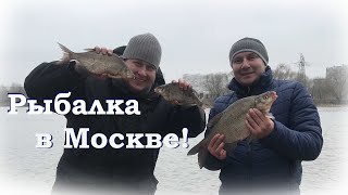 Рыбалка на фидер в Москве! Весна, Капотня, Прикормка от Дунаева и Лещ  Место где можно поймать рыбу!