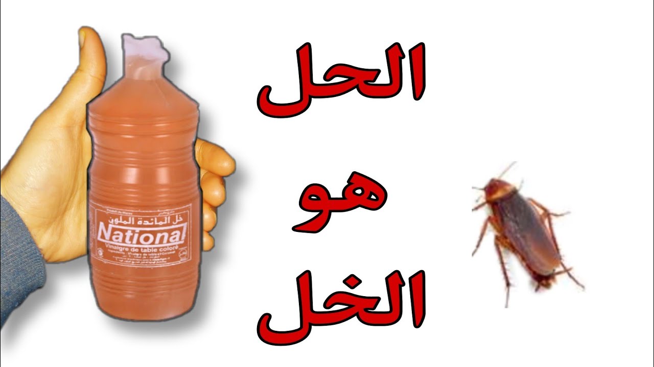 طريقة فعالة للتخلص من الصراصير وحشرات المطبخ🕸🕷🐜استعمالات عجيبة للخل👌