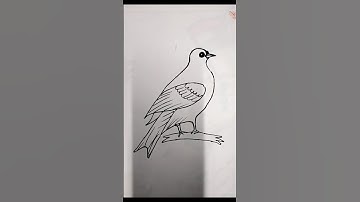Very Easy Bird Drawing #shorts #birds #drawing #art