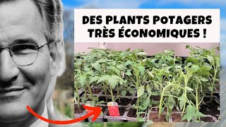 Urgent ! Les plants potager les moins chers du marché !