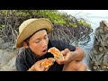 Oyster A Lot After Water Sea Low Tide - So Fresh Oyster #seafood #oysters #fishing #food #usa