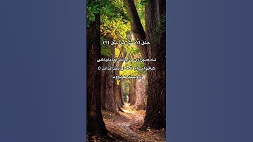 القران الكريم سورة العلق