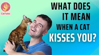 What Does it Mean When a Cat Kisses You ?