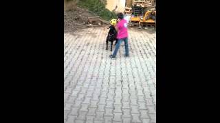 Topa Kafa Atan Keçi