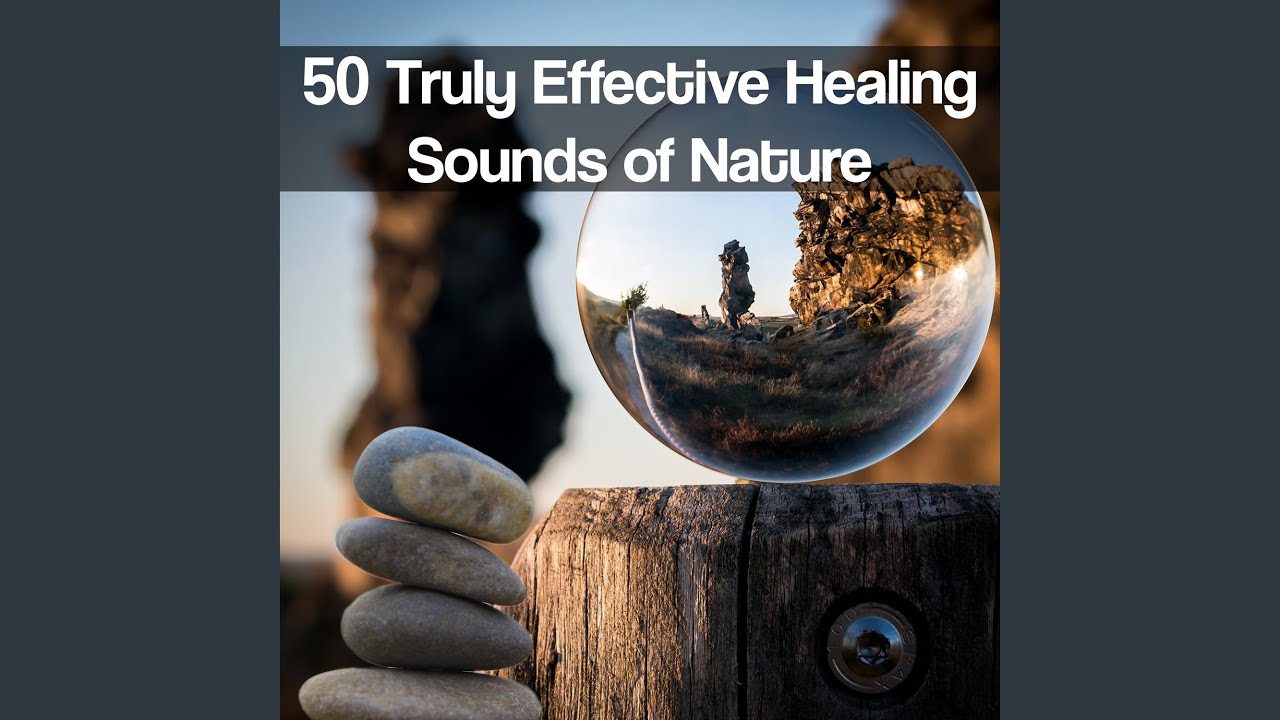Regardez Relaxing Spa: Ambient Forest Sound sur YouTube