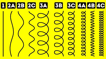 Come faccio a sapere che tipo di riccio ho?