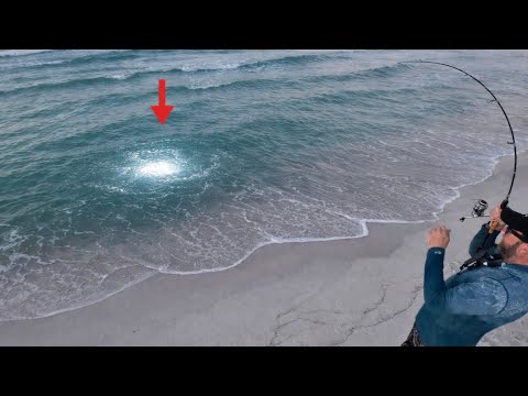 Less Than 5% of Fishermen Will Ever Catch This!