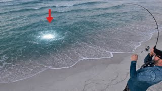 Less Than 5% Of Fishermen Will Ever Catch This!