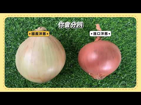 國產、進口洋蔥怎麼分？🧅
