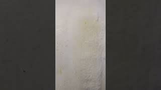 Scrubbing Bubbles In Action Like You Have Never Seen Before...