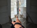 Street Photography but from a Dog’s Perspective #shorts