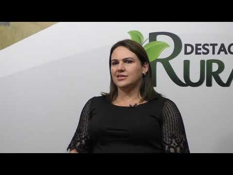 Cenário de doenças na cultura da soja