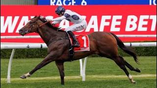 CAN THE AUSSIES WIN!? | Royal Ascot - Day 1 2026 Tips!