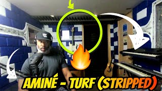 PATREON REQUEST | Aminé - Turf (Stripped) (Vevo LIFT) - Producer Reaction