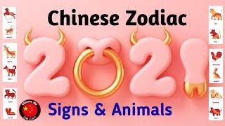 Chinese Zodiac Signs & Animals | Learn Chinese in Urdu | Chinese 360