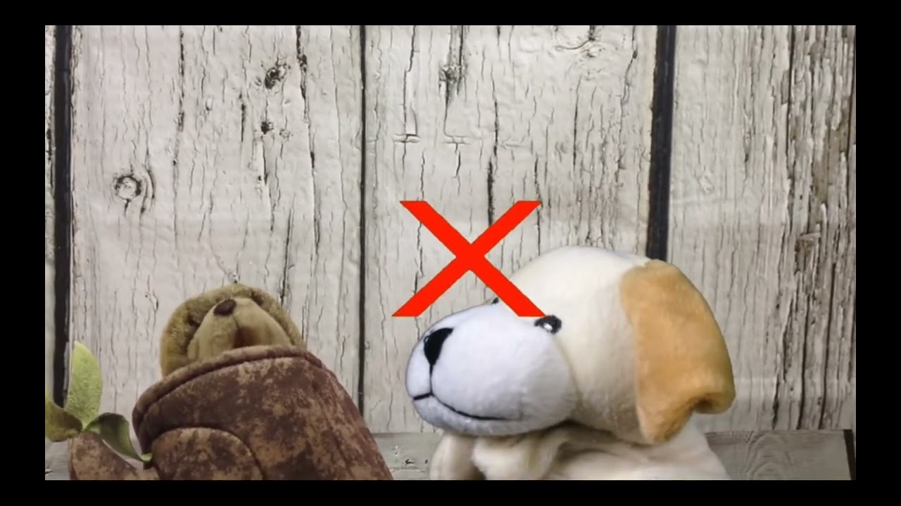 All the times the excite dog said numbers.