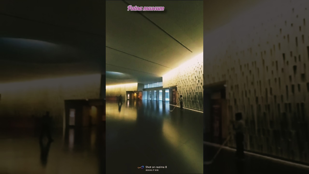 Patna Museum Inside View, Bihar 😲