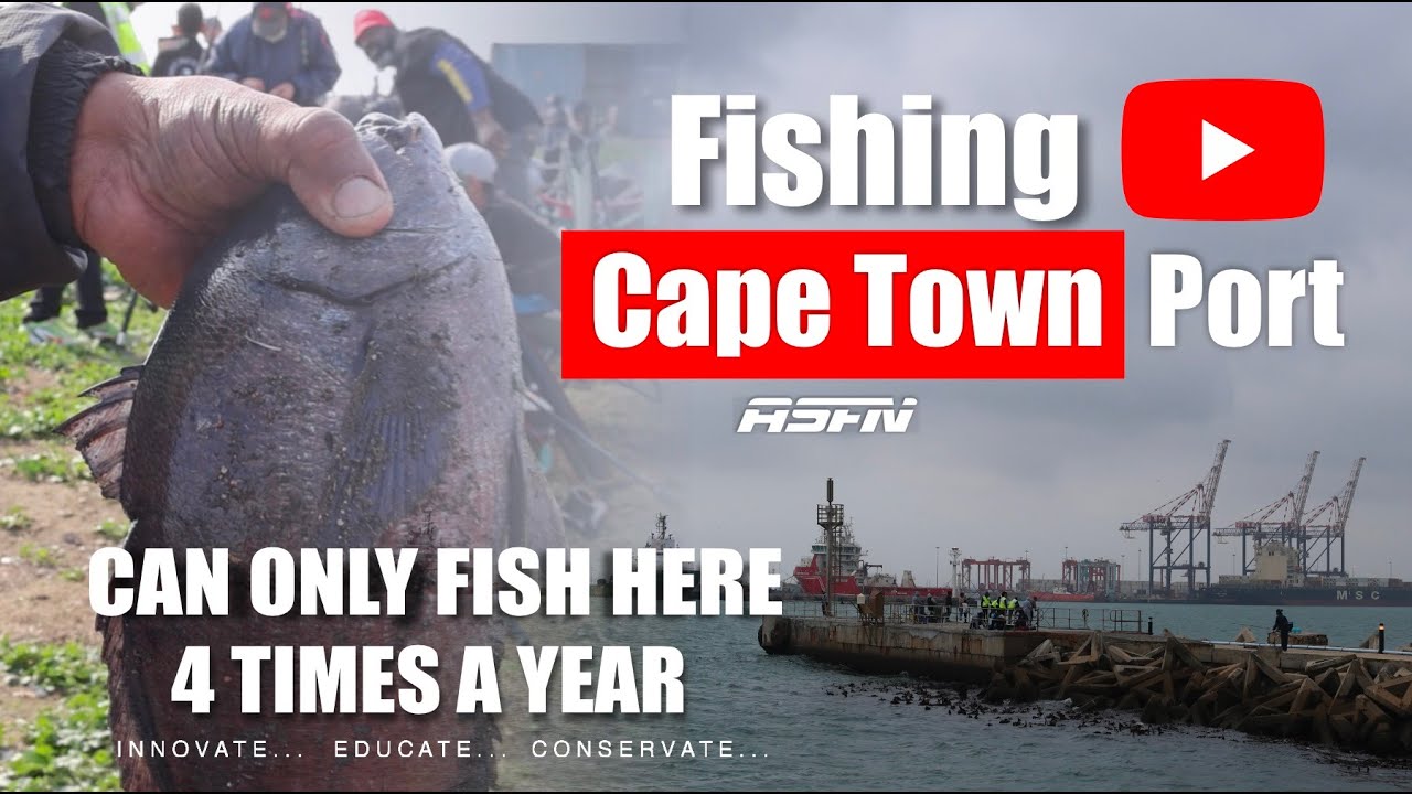 Рыболовное безумие в порту Кейптауна. День открытых дверей!!!
