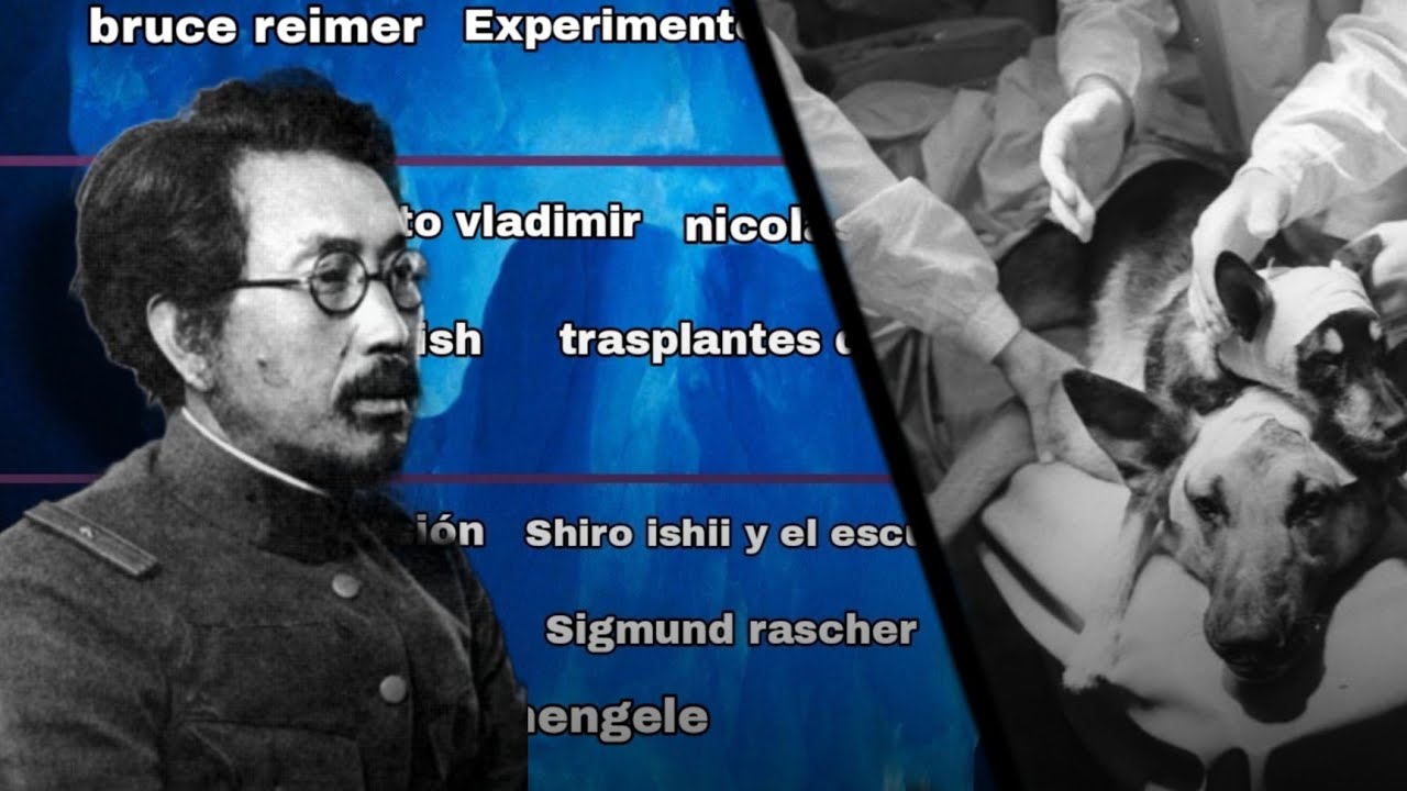 Iceberg De los experimentos Científicos | psicológicos