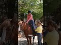 Почему богатые занимаются непопулярным спортом?