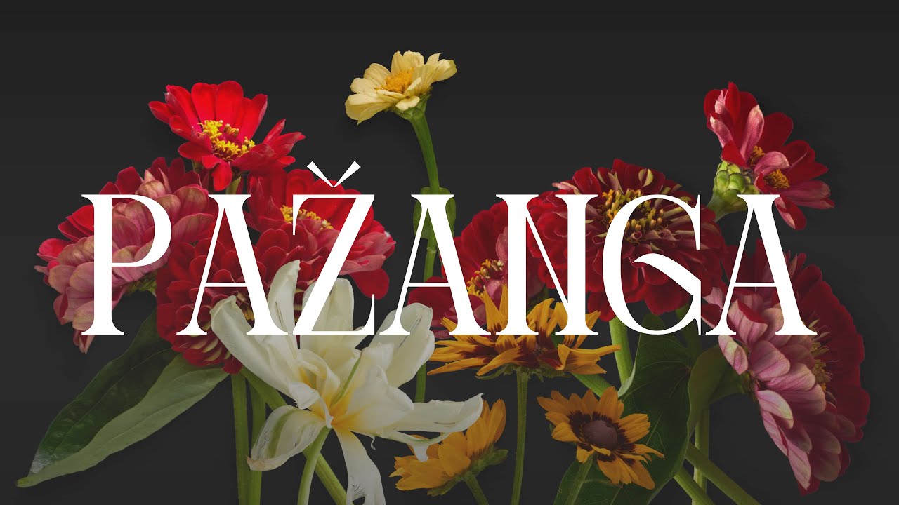 Pažanga | Psichinė sveikata | Pastorius Saulius - YouTube