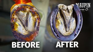 Restoring a Horse Hoof in 4K | ASMR ( SATISFYING ) by Maupin Farrier Co 7,122 views 4 months ago 7 minutes, 37 seconds