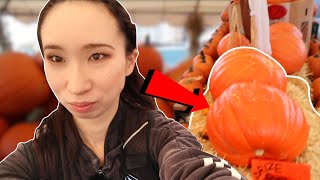 The best Pumpkin Patch in NYC!