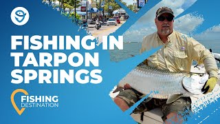 Celebrity The Complete Guide to Fishing in Tarpon Springs Profile