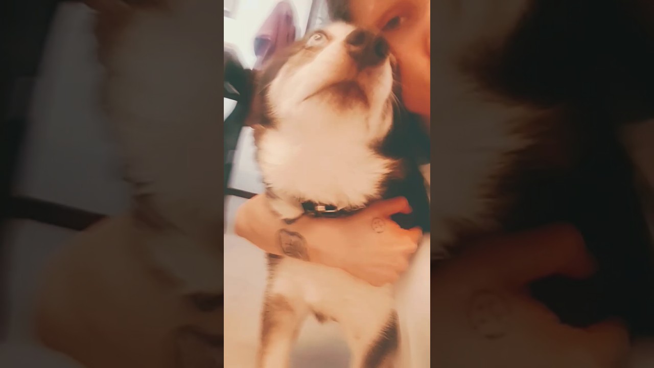 Рыжая, скоро ты станешь женщиной! 