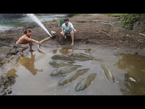 Most Amazing Wild Fishing, Unique Exciting Catch Many Fish With A Large Pump Sucks Water Out Of Lake