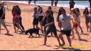 One Direction's Liam Payne and Louis Tomlinson Surfing In Sydney   Exclusive