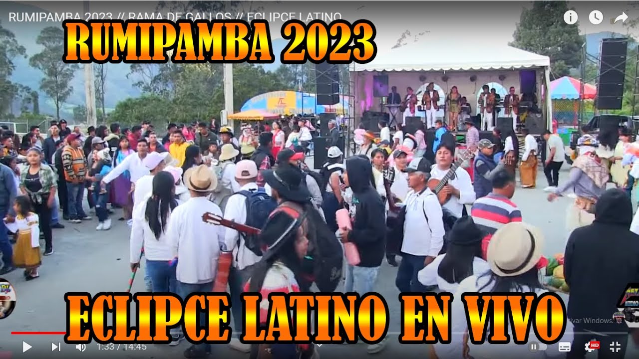 RUMIPAMBA  2023 // RAMA DE GALLOS // ECLIPCE LATINO.