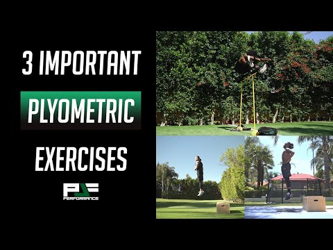 3 Plyometric Exercises for Dunking and Athleticism