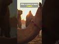 This is Morocco. Welcome.هذا المغرب مرحبا بكم.