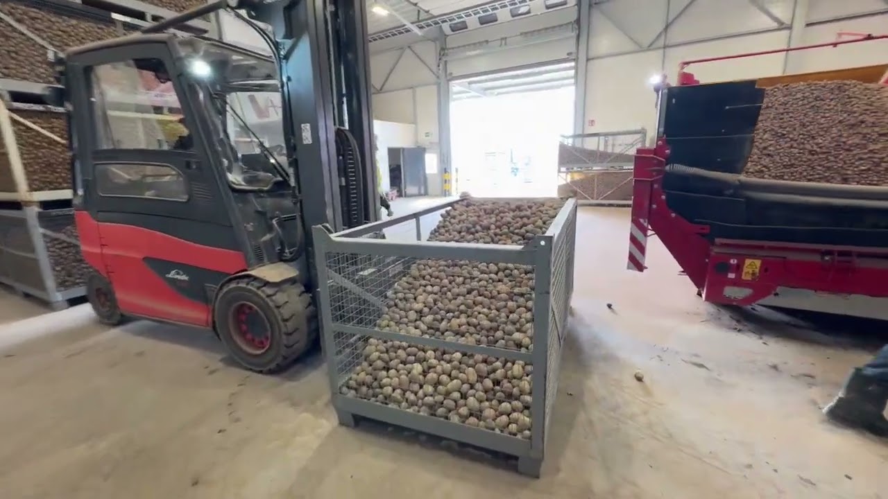 Seed Potato shipping 2026