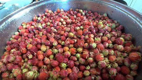 Варим варенье из лесной клубники не перебирая