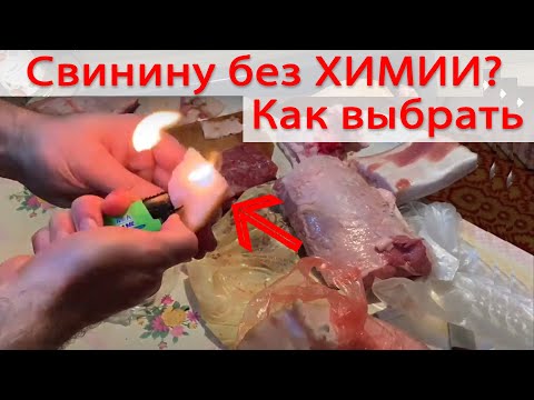 Как выбрать свинину без антибиотиков и гормонов