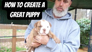 How to create a Great puppy?